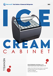Catalogue of Ice Cream Dipping Cabinets and gelato parlor cases