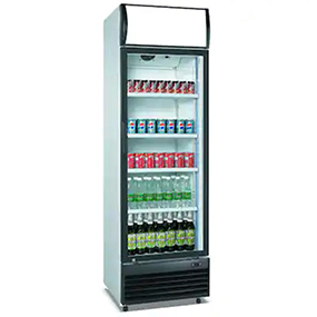  Slimline Beverage Refrigerator with Auto Defrost 2–8degree 268L manufacturer factory Chin