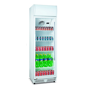 Small Cooler for Drinks with Swing Glass Door 230 Liter manufacturer factory China
