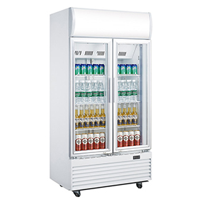 2 Glass Door Cooler for Beverage Merchandising manufacturer China factory