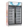 /uploads/images/20230704/Swing-Door-Commercial-Refrigerator-with-Clear-Front-door.jpg