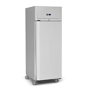 Heavy Duty Reach In Fridge Deep Freezer with Stainless Steel Doors 500L